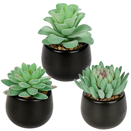 Briful 3PCS Artificial Succulents Fake Plants Mini Succulents Potted in Black Ceramic Pots Artificial Plastic Plants for Home Office Desk Farmhouse Bathroom Décor - color: Type #1