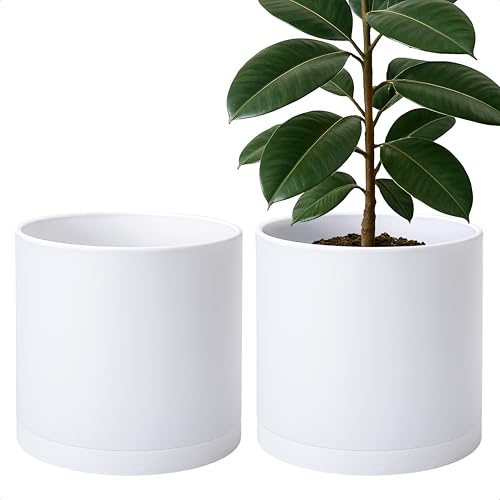 D'vine Dev 2 Pack 12 Inch Modern Plastic Plant Pots, Cylindrical Garden Planters for Plants with Drainage Holes and Saucers, White, 74-Z-P-1 - size: 12"