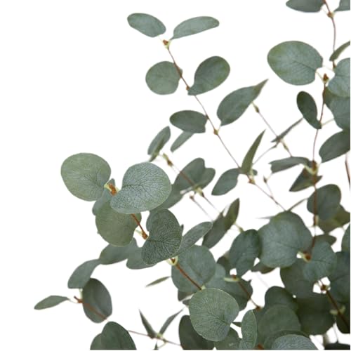 12 Pcs 27" Eucalyptus Stems Greenery Stems Eucalyptus Leaf Spray in Green Silk Plastic Plants Floral Artificial Plants for Home Party Wedding Decoration(Dark Green) - color: Dark Green -12 Pcs
