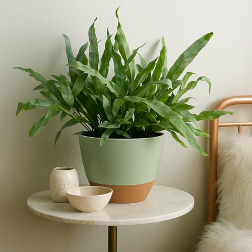 TYMENSH Plant Pots 12/10/9 Inch Set of 3, Self Watering Planters with Drainage Holes and Water Reservoir, Heavy Duty Plastic Flower Pots for Indoor Outdoor Plants, Green - color: Green