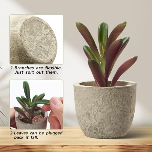 Artificial Succulent Plants in Pots, Set of 5 Mini Fake Succulents for Indoor Home Decor, Small Faux Potted Greenery for Office Desk, Shelf, Bathroom, or Modern Boho Rustic Room Decoration