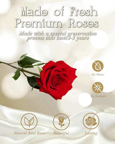 HVY Preserved Flowers Bouquet for Her,Forever Flowers Fresh Bouquet Mothers Day Birthday Gifts for Mom Preserved Rose Gifts for Women Wife Girlfriend Red Eternal Rose Present - color: Red Rose