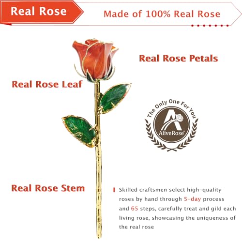 AliveRose Gold Dipped Rose, 24K Gold Rose Made from Real Rose - Unique Design Gold Plated Rose for Anniversary Valentines Mothers Day Birthday Gifts (Orange Original with Crystal Vase) - color: 7. Orange Original Rose With Crystal Vase