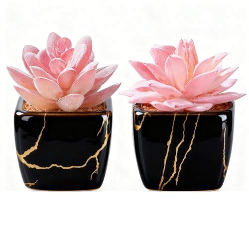 Taybonds Artificial Succulent in 2PCS Black Ceramic Pot, Small Fake Succulents Plants for Office and Desk Decor,Bathroom, Bedroom, Shelves, Vanity for Women - color: Black