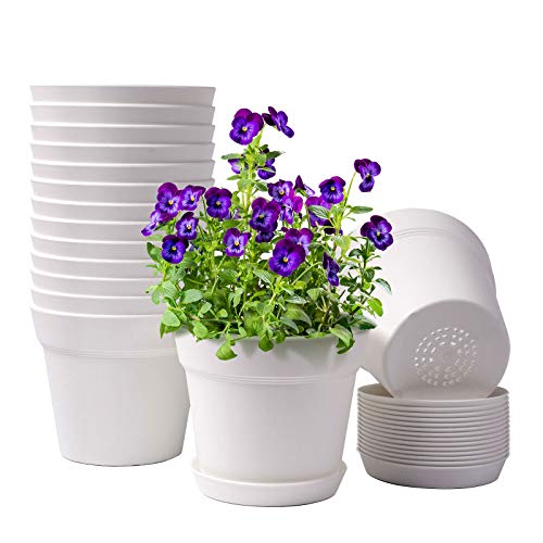 homenote Pots for Plants, 15 Pack 6 Inch Plastic Planters with Multiple Drainage Holes and Trays,Plant Pots for All Home Garden Flowers Succulents (White) - color: White-15 Pcs, size: 6 Inch