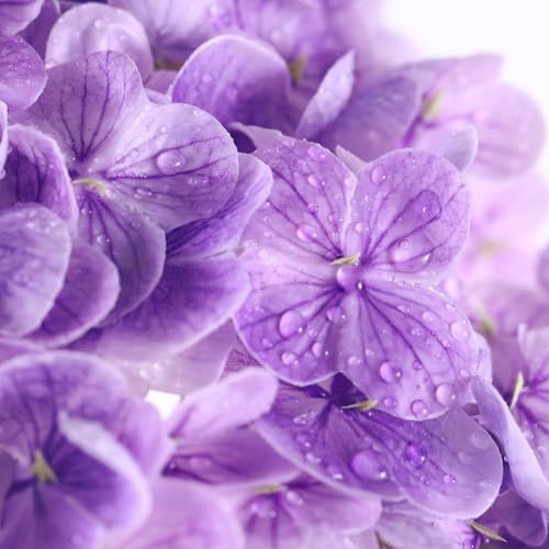 Coferset 3pcs Purple Lifelike Hydrangea Artificial Flowers 22inch Real Touch Faux Hydrangea Flower Stem for Home Party Wedding Floral Filler Arrangements Ceterpieces Bouquets - color: Purple, size: 3pcs