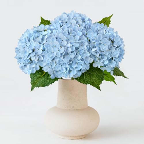 ZYTUYO 20 inches 4 Pcs Sky Blue Real Touch Hydrangea Artificial Flowers Boho Lifelike Real Looking Latex Hydrangeas Flower with Long Stem for Home Decor Spring Table Centrepiece - color: Sky Blue