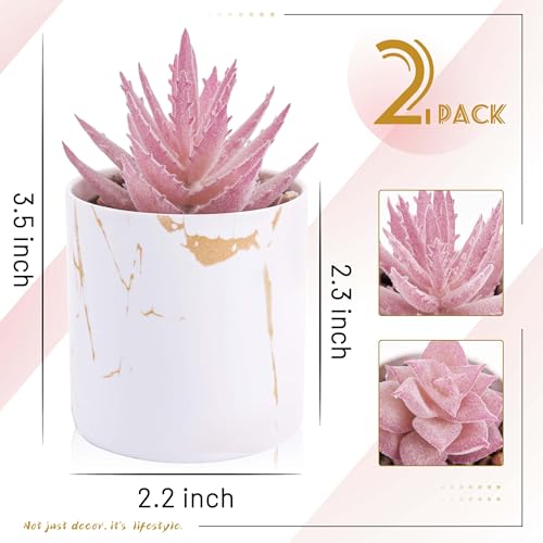 Der Rose Set of 2 Succulents Plants Artificial Mini Fake Succulents Plants for Office Desk Accessories for Women Pink Home Vanity Decor - color: 2-pink