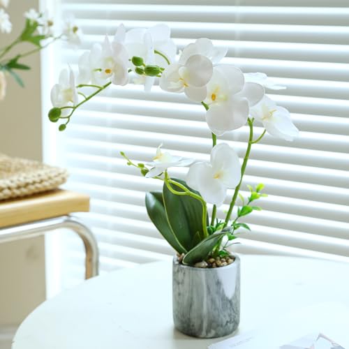 White Fake Orchids Flowers in Pot Bendable Faux Orchids Artificial Flowers Washable Silk Orchid Phalaenopsis Decor for Home Wedding Table Centerpiece Bathroom Office - color: 1 Pot White