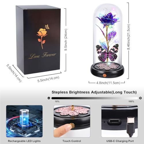 Mothers Day Rose Gifts for Mom Birthday Gift for Women, Rechargeable Galaxy Glass Rose in Glass Dome Crystal Roses Butterfly Mother's Day Flowers Gifts for Women Mom Wife Grandma Daughter, Purple - color: USB-B Purple