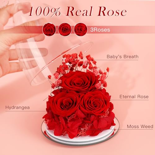 Mothers Day Flowers Gifts for Mom Flowers for Delivery Preserved Flowers Forever Real Fresh Roses in Glass Angel Figurines Birthday Gifts for Women Anniversary Present for Grandma Wife from Daughter - color: Red (Rose, Baby's Breath, Hydrangea)