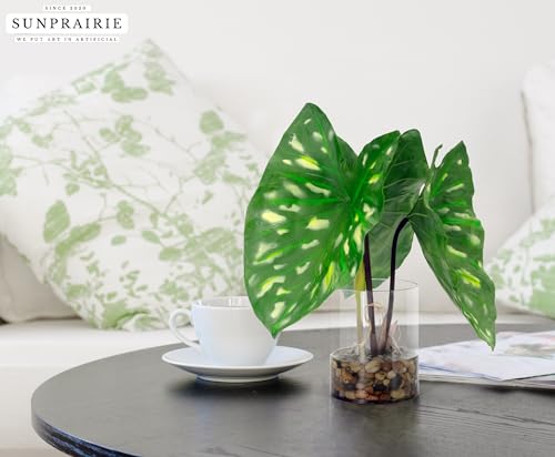SUNPRAIRIE Tropical Artificial Plant in Clear Pot with Artificial Water, Wide Arrowhead Leaves. Faux Plants Indoor and Outdoor