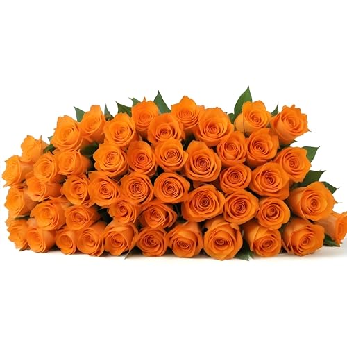 50 Orange Roses | Bulk Roses by Arabella Bouquets | Real Fresh Flowers for Delivery, Gift for Birthday Women, Congratulations, Anniversary, Thank You, Mother's Day - color: Orange, size: 50 Stems