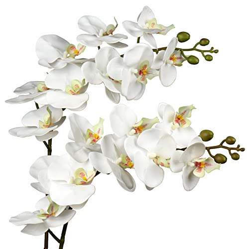 DILATATA Blooming Phalaenopsis Orchid Artificial 31.5" Long Stem with 9 Large Orchids Flowers Artificial Flowers for Decoration Home Arrangement-White Green Orchid 2 Pcs - color: White Green #20