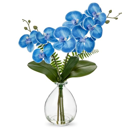 Oairse Blue Orchids Artificial Flowers, Faux Orchid in Glass Vase Real Touch Small Phalaenopsis Orchid Flowers Arrangements with Clear Vase Orchids Centerpiece for Dining Room Table - color: Blue & Clear