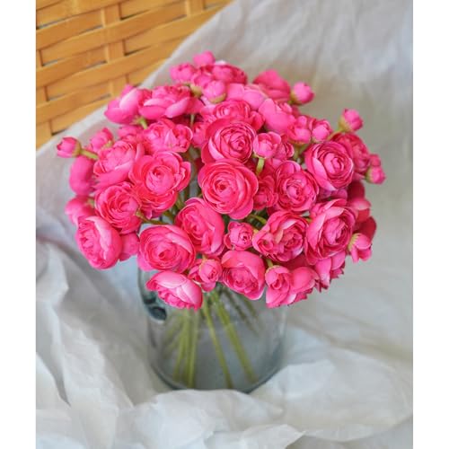 18 Pcs Ranunculus Artificial Flowers Hot Pink Faux Ranunculus Flowers Real Touch Mini for Wedding DIY Bouquets Home Decor Arrangements - color: Rose