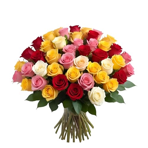 100 Rainbow Roses Assorted Mixed Color | Bulk Roses by Arabella Bouquets | Real Fresh Flowers for Delivery, Gift for Birthday, Women, Congratulations, Anniversary, Mother's Day - color: Assorted, size: 100 Stems