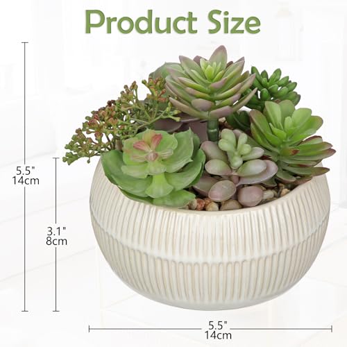 DILATATA Artificial Succulent Plants in Pot 5.5 Inch Fake Succulents Arrangement Potted Plant in White Ceramic Planter Bowl for Home Office Desk Shelf Living Room Bedroom Bathroom Decor - color: White Ceramic#style 3