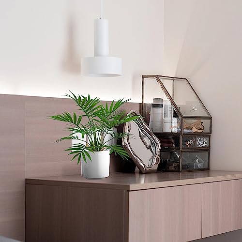 Artificial Palm Tree Plant, Potted Artificial Plant for Home Office Decoration, 12" Tall, Ships in White Ceramic Planter - size: 1ft