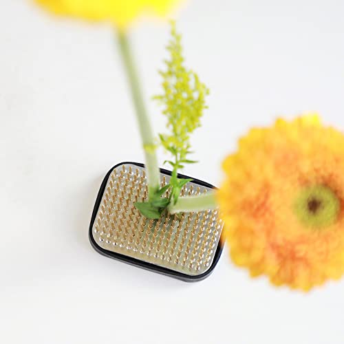Wazakura Japanese Ikebana Kenzan Flower Holder Rectangular Square, Made in Japan Floral Arranging Pin Frog Tool - 2.6" (68mm) - color: 2.6" (68mm)