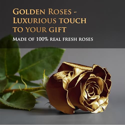 17 Black & Gold Forever Roses, Velvet Box - Luxury Black Roses, Graduation Flowers, Golden Roses, Preserved Rose Gifts for Women, Flowers for Teacher, Black Roses for Delivery Prime