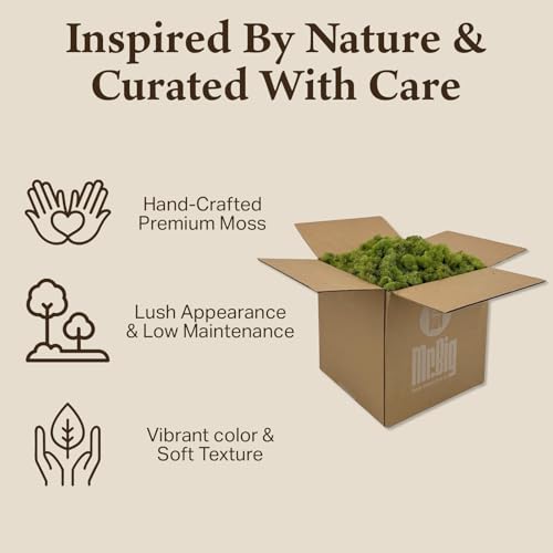 Preserved Reindeer Moss - Moss for Crafts, Home Decor, Art, Design & DIY Projects - Non-Toxic - USA Made (Spring Green, Standard Box) - color: Spring Green, size: Box