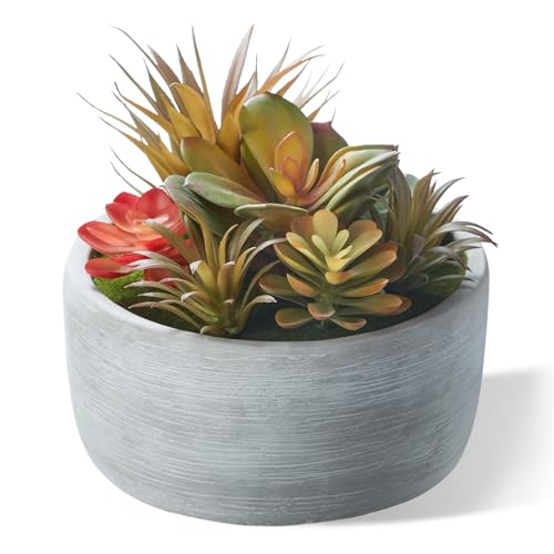 6 Inch Artificial Succulent Plants in Pots,Realistic Fake Succulents with Gray Ceramic Pot for Home Office Desk Bathroom Coffee Table Decor - color: Grey#1, size: 6inch