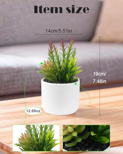 Faux Assorted Succulents - Artificial Succulent Plants for Desk, Bathroom, Shelf, or Home Decor, Realistic Greenery for Farmhouse, Office & Kitchen Decoration PA-018 - size: PA-018