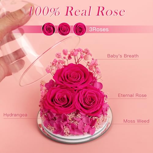 Mothers Day Flowers Gifts for Mom Flowers for Delivery Preserved Flowers Forever Real Fresh Roses in Glass Angel Figurines Birthday Gifts for Women Anniversary Present for Grandma Wife from Daughter - color: Rose Red (Rose, Baby's Breath, Hydrangea)