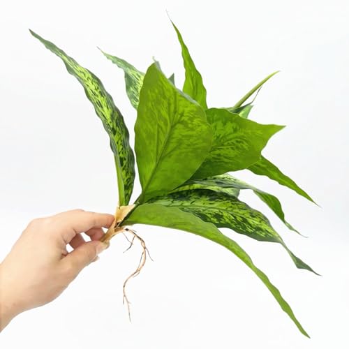 PASYOU Artificial Aglaonema Plants, Green Speckled Leaves 2 Pack, Fake Magnolia Grass Plant, Faux Plastic Leaves Shrubs, Indoor Outdoor Decor Home Garden Yard Table Planter Filler Decorations - Green - color: Aglaonema - Green Speckled Leaves 2 Pack