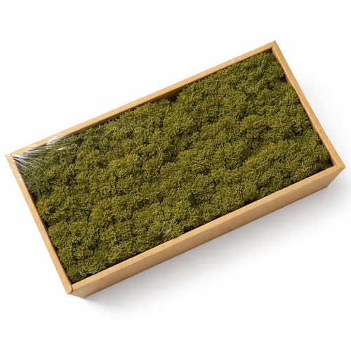 Preserved Reindeer Moss, 17.64oz Natural Decorative for Home Decor, DIY Crafts, Moss Wall Art, Terrariums, Floral Arrangements, Wedding & Holiday Decorations (Olive Green) - color: Olive Green