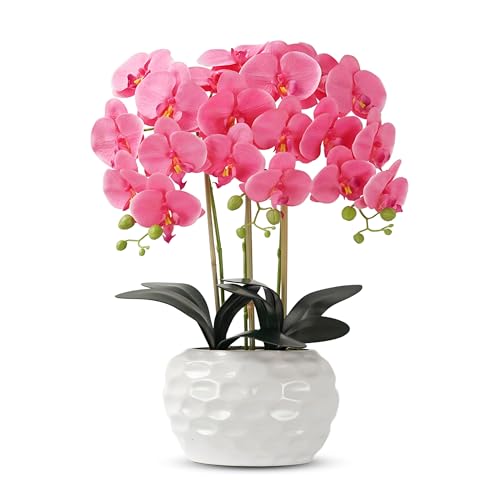Orchid Artificial Flowers with White Vase Large Silk Faux Phalaenopsis Flowers for Dining Room Table Floral Centerpieces Indoor Decoration,Fuchsia - color: 1332-fuchsia