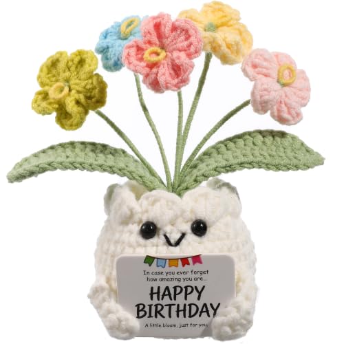 YOOJEE Crochet Forget Me Not Flower Pot Birthday Gifts for Women | Pet Display Box, Happy Birthday Message Card, Colorful Handmade Keepsake, Desk Decor, Gift For Mom Friend Sister Coworker - color: E-Happy Birthday