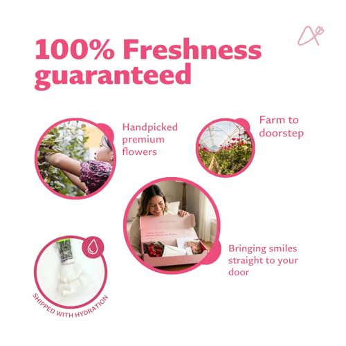 Aquarossa Farms – Fresh Cut Flowers for Delivery, Gifts for Graduation, Birthday, Anniversary, or Just Because – Mixed Bouquet