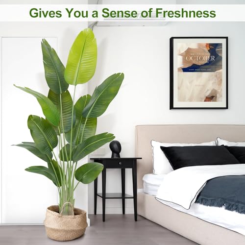 Lifelike Bird of Paradise Artificial Plant,6ft Faux Banana Leaf Tree with 13 Trunks - Perfect Indoor Silk Floor Plant for Home Decor in Living Room, Office, and Bedroom 1Pack - size: 6ft