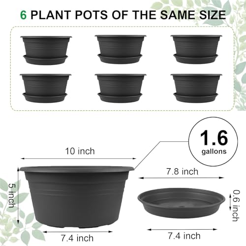 6 Pack 10 inch Plant Pot, Round Plastic Plant Pots, Outdoor Pots for Plants with Drainage Hole & Tray Saucer, Decoration Flower Pots for Indoor Plants Home Garden Outdoor Planters (Dark Gray) - color: Dark Gray, size: 10 Inch - 6Pack