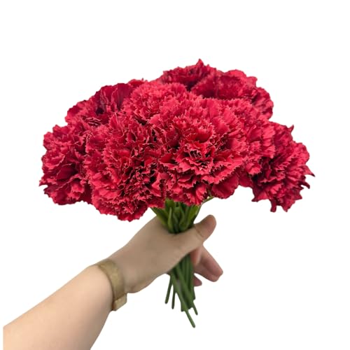 10 Stem Artificial Flowers Carnations Bouquets,11inch Real Touch Flowers with Stems,Silk Petals Fake Flowers Forever Plants for Wedding Flower Bouquet Centerpieces Bridal Shower Birthday (Red) - color: Red