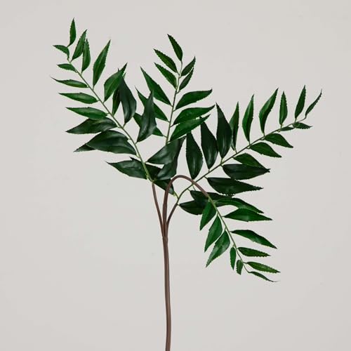 Nearly Natural 38-in Artificial Palmate Fern Stems, Set of 3 Long Stem Artificial Ferns for Home or Office Décor, Faux Palmate Ferns for DIY Decoration
