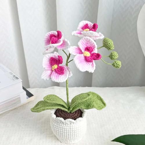 Handmade Crochet Phalaenopsis Orchid Potted Plants Knitted Artificial Orchid Phalaenopsis Flowers with Exquisite Pot for Home Office Wedding Table Centerpiece Decoration,Pink - color: Pink