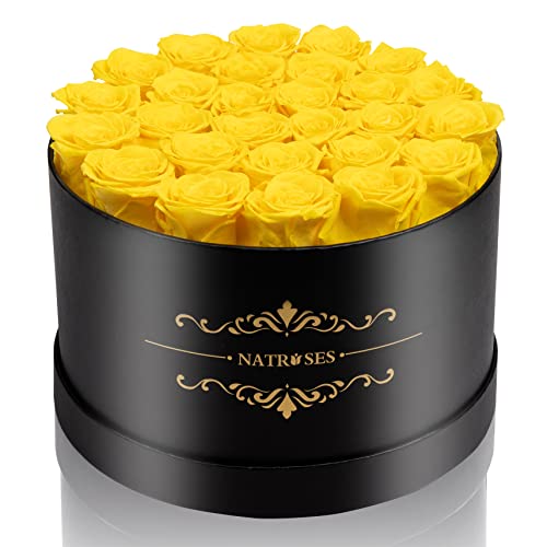 NATROSES Gifts for Her 27 Piece Forever Preserved Roses in a Box, Preserved Flowers for Delivery Birthday, Flowers Gifts for Mothers Day, Yellow - color: Yellow, size: 27 Roses