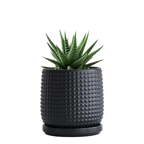 D'vine Dev 4 Inch Ceramic Beaded Stoneware Planter Pot - Flower Pot with Drainage Holes and Saucers for Indoor Succulent Plants or Flowers, Ebony Matte, 27-C-Z-6 - color: Ebony Matte, size: 4.3 Inch