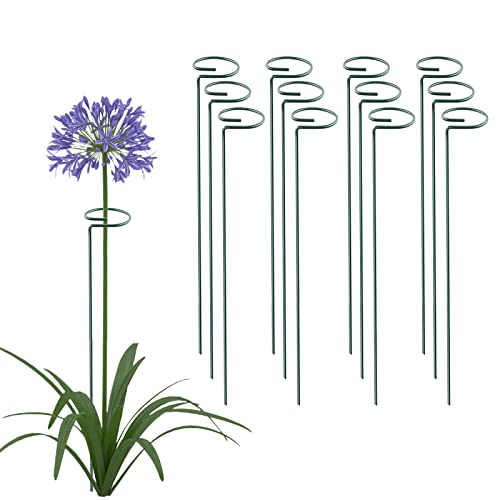 Thealyn 20 Pack 16 Inch Plant Support Stakes, Metal Single stemmed Flower Support Hoops，Garden Plant Stakes Plant Prop for Amaryllis Orchid Lily Rose Peony Tomatoes Gladiolus - color: 16 inch-Green