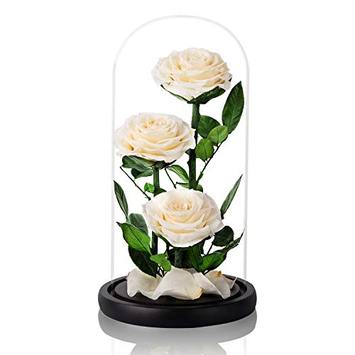 White Roses Handmade Preserved Rose in Glass Dome, Preserved Flowers Never Withered, Birthday Gifts for Women (13 inch) - color: White, size: X-Large