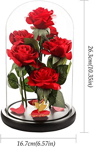 Mothers Day Rose Gifts for Women,Beauty and Beast Rose in Glass Dome with LED Light,Glass Rose Flower Gifts for Family Valentines Birthday Gifts for Women Mom Wife Girlfriend Friend Forever Red Rose - color: Charming Rose