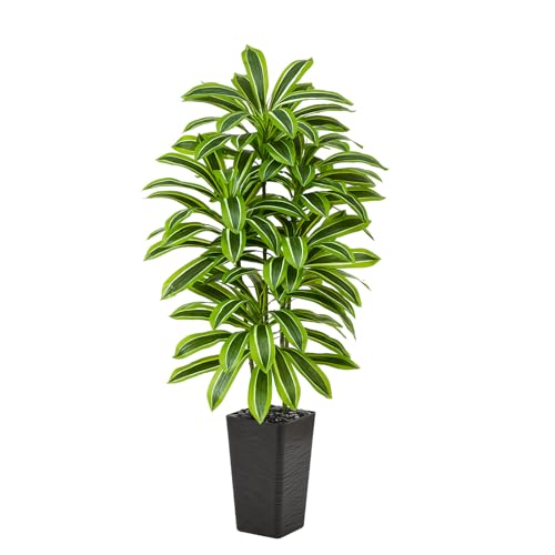 Artificial Yellow Dracaena Tree - 5FT Tall Fake Plants with Black Planter - Artificial Plants Indoor Floor Plant in Pot - Large Tropical Fake Yucca Potted Tree for Home Office Living Room Decor - color: Black-yellow Leaf, size: 5 FT
