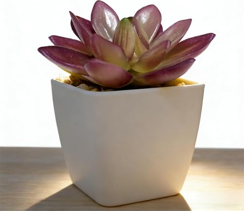 Artificial Succulent Plants in Pot - 1Pcs Treasure Lotus Realistic Fake Potted Succulents for Home Decor, Desk, Office, Bathroom, Windowsill - Indoor Houseplant for Bedroom, Kitchen, Shelf - color: Treasure Lotus