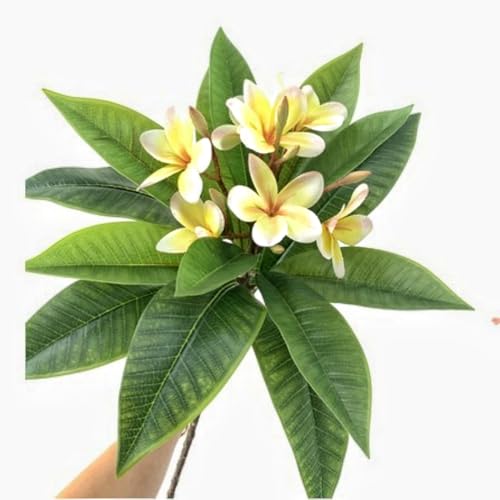 XIYUAN 35.5 Inch Artificial Flowers Artificial Frangipani Flower 2 Stems Lifelike Real Touch Artificial Plumeria Flowers for Home Party Wedding Bouquet Home Decoration (Yellow) - color: Yellow