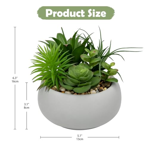 Hollyone Succulents Plants Artificial in Pots Fake Succulents for Outdoors Indoor Faux Succulent Arrangement Potted Plant in Cement Planter Bowl for Garden Office Desk Shelf Living Room Home Decor - color: Cement Grey