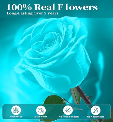 Preserved Flowers for Delivery,Light Blue Rose Bouquets That Last 5 Years,Birthday Flowers Gifts for Women Mom Grandma Wife Friends,Mothers Day Gift,Romantic Floral for Anniversary or Valentine’s Day - color: Light Blue, size: Single Rose