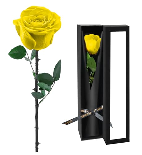 Preserved Flowers for Delivery,Yellow Rose Bouquets That Last 5 Years,Birthday Flowers Gifts for Women Mom Grandma Wife Friends,Mothers Day Gift,Romantic Floral for Anniversary or Valentine’s Day - color: Yellow, size: Single Rose